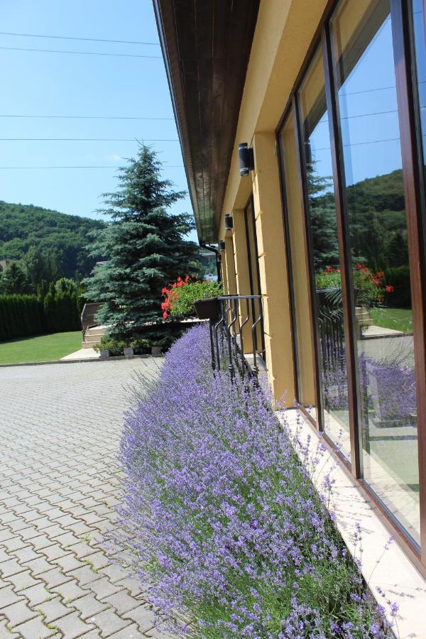 Hotel Vila Trapez Brașov Exterior foto